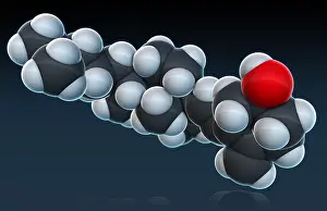 Atoms Prints: Vitamin D3, Molecular Model
