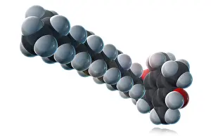 Atoms Prints: Vitamin E, Molecular Model