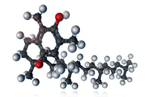 Atoms Prints: Vitamin E, Molecular Model