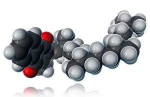 Vitamin Prints: Vitamin K1, Molecular Model