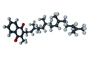 Atomic Prints: Vitamin K2, Molecular Model