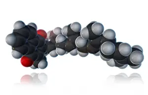 Atomic Prints: Vitamin K2, Molecular Model