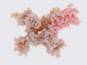 Many Science & Medical Prints: Voltage-gated Sodium Channel in the Open Conformation