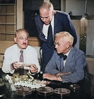 Alexander Prints: Waksman, Major, Fleming Nobel Prize Winners