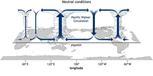 Oscillation Prints: Walker Circulation
