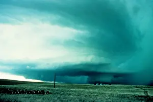 Wall Prints: Wall Cloud