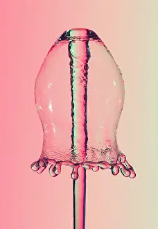 Bubble Prints: Water Bell Fountain