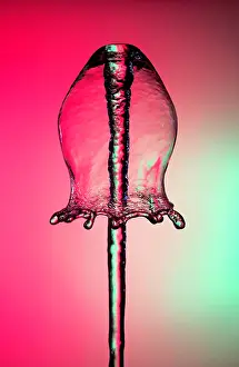 Bubble Prints: Water Bell Fountain