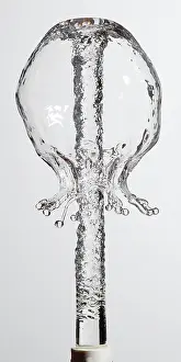 Bubble Prints: Water Bell Fountain