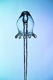Waters Prints: Water Bell Fountain