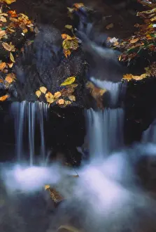 Rock Prints: Water Gushing