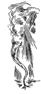 Strong Prints: Waterspout, 1882