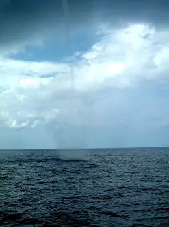 Vortex Prints: Waterspout