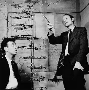 Research Prints: Watson & Crick with DNA model