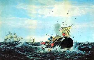 Serpent Prints: Whaling, 19th Century