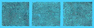 Form Prints: Whorl, Loop, and Arch Fingerprints