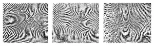 Form Prints: Whorl, Loop, and Arch Fingerprints