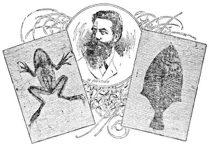 Radiation Prints: Wilhelm Konrad Roentgen, German Physicist, Discoverer of X-Rays