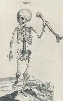Osteographia Prints: William Cheselden, 'Osteographia', 1733