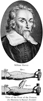 1628 Prints: William Harvey, English Physician
