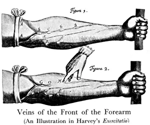 Flow Prints: William Harvey, De Motu Cordis, 1628