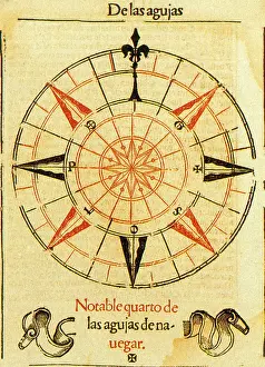 Navigate Prints: Wind Rose