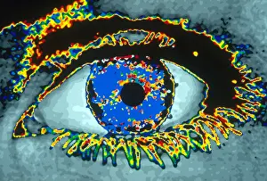 Womans Prints: Woman's Eye