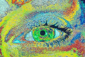 Womans Prints: Woman's Eye