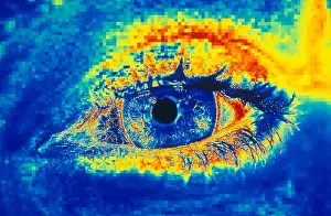 Graphics Prints: Woman's Eye