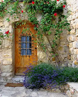 Stone Prints: Wooden Door, Stone House, Climbing Roses, Provence, France