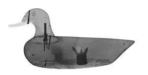 Shot Prints: Wooden Duck Decoy