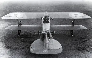 Force Prints: WWI, Albatros D.III Fighter Plane