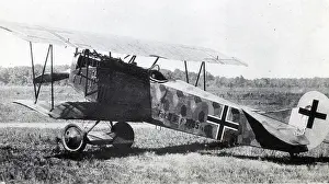 Force Prints: WWI, German Fokker D VII Fighter Plane