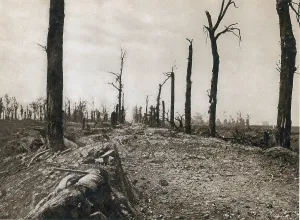 Force Prints: WWI, Ruins of Somme, 1916