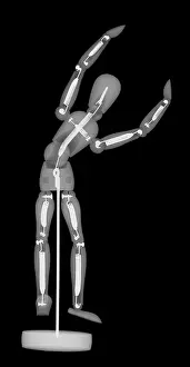 Figure Prints: An X-ray of an artist's figure model