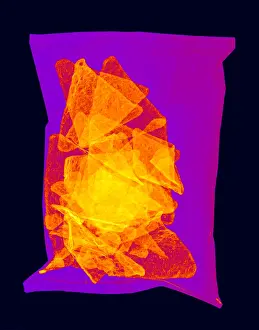 Corn Prints: X-ray of a bag of Corn Chips