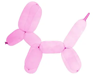 Studio Prints: X-Ray of Balloon Dog