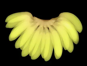 Foods Prints: X-ray of Bananas