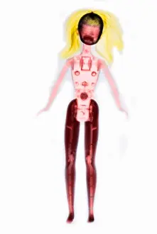 Enhance Prints: X-ray of Barbie Doll