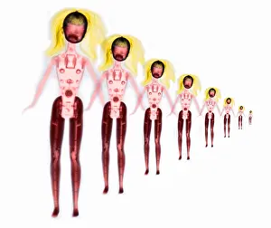 Advertisement Prints: X-ray of Barbie Dolls
