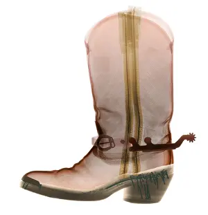 Studio Prints: X-ray of Cowboy Boot