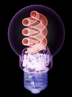 Studio Prints: X-ray of Energy Efficient Light