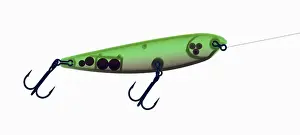 Fish Prints: X-ray of Fishing Lure