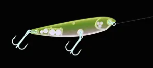X Rays Prints: X-ray of Fishing Lure