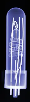 Light Prints: X-Ray of a Flash Tube