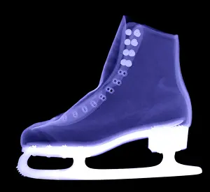 Radiography Prints: X-ray of an Ice Skate