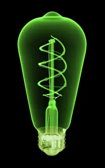 Design Prints: X-Ray of LED Light Bulb