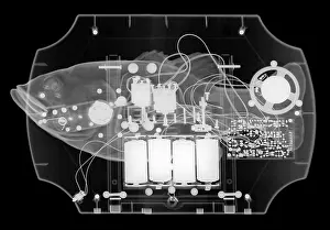 Fish Prints: X-ray of mechanical Fish