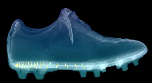 Studio Prints: X-ray of Shoe