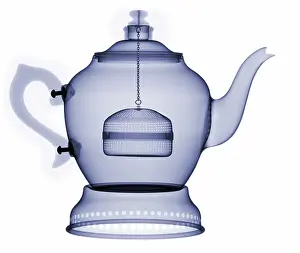 Antique Prints: X-Ray of a Tea Pot
